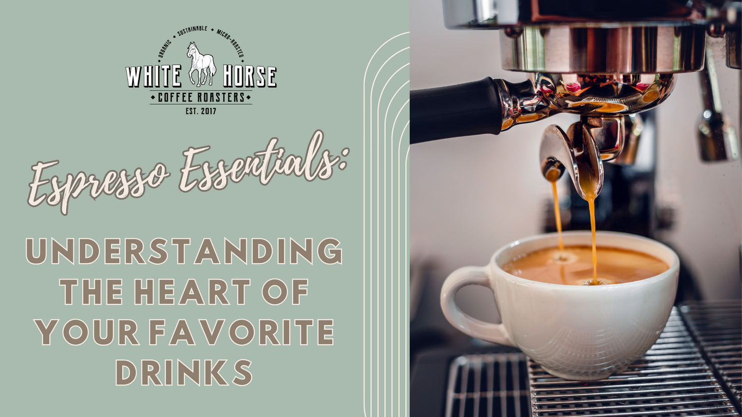 Espresso Essentials: Understanding the Heart of Your Favorite Drinks