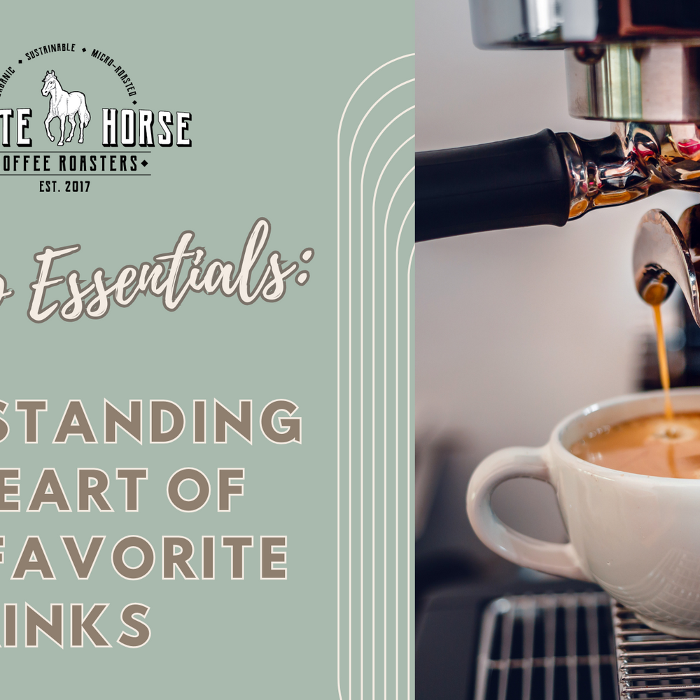 Espresso Essentials: Understanding the Heart of Your Favorite Drinks