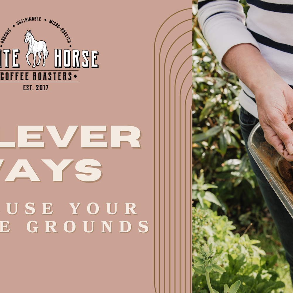 5 Clever Ways to Reuse Your Coffee Grounds