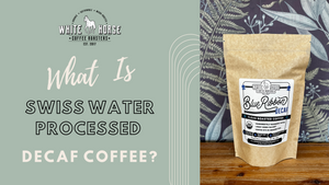 What is Swiss Water Processed Decaf Coffee?